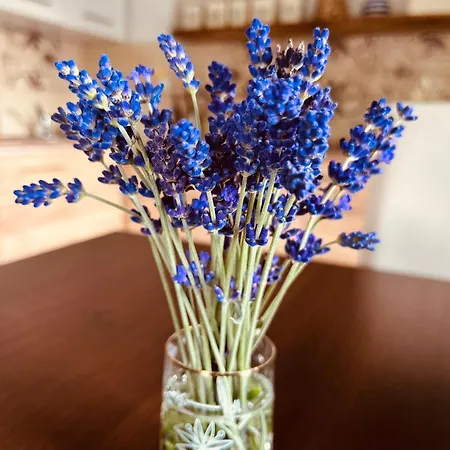 Ferienhaus U Franze Malá Morava