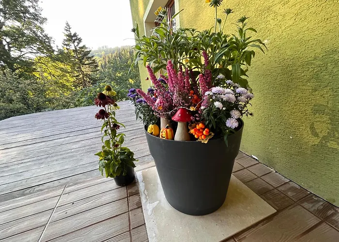 Holiday home U Franze Mala Morava